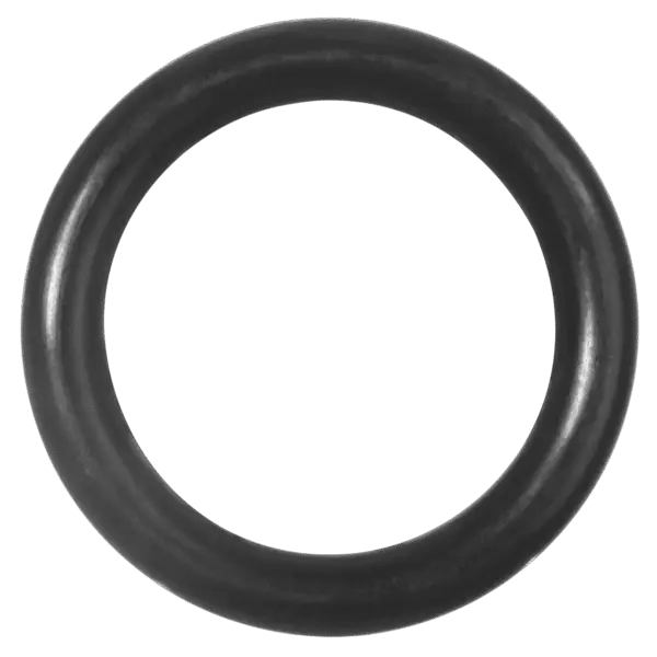 O'Rings (Todos)
